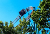 oakwood-theme-park_20145384064_o.jpg